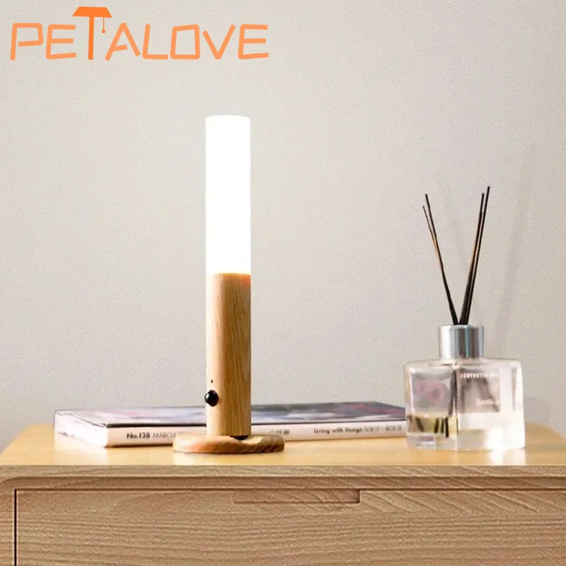 Night Light, LED Rechargeable Corridor Cabinet Wall Light